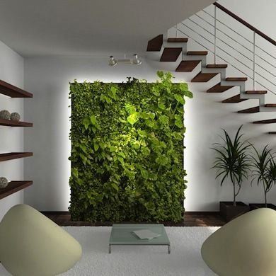 دیزاین سبز خانه با دیوار سبز