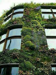 معماری سبز